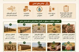 اینفوگرافیک