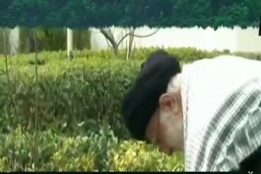 گالری فیلم