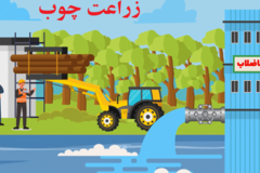 زراعت چوب