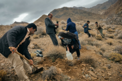 بذرکاری