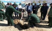 كاشت نهال درحوزه مقاومت بسيج ثارالله بخش نيرشهرستان تفت