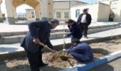 غرس نهال درمحل دانشگاه شهيدمطهري شهرستان تفت وبرسرتربت پاك اولين شهيدگمنام اين شهرستان انجام گرديد.