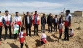 غرس نهال توسط دانش آموزان عضوهلال احمرشهرستان خاتم