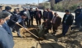 مراسم نهالکاری در روستای هفتادر عقدای شهرستان اردکان به مناسبت دومین روز از هفته منابع طبیعی