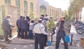 توزيع بيش از پانصد اصله نهال رايگان در محل برگزاري نماز جمعه شهرستان مهريز