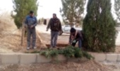 توزیع نهال در محل اداره منابع طبیعی و آبخیزداری شهرستان اشکذر