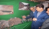 راه اندازی غرفه اداره منابع طبیعی و آبخیزداری شهرستان مهریز در نمایشگاه توانمندی های شهرستان مهریز