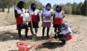 برگزاری مسابقه نهالکاری جوانان عضوجمعیت هلال احمر درشهرستان خاتم