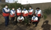 برگزاری مسابقه نهالکاری جوانان جمعیت هلال احمر با همکاری تشکل حافظان منابع طبیعی در شهرستان اردکان