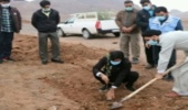 اجرای طرح نهالکاری بصورت خانوادگی در شهرستان اردکان