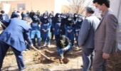 حضور دانش آموزان میبدی همیار طبیعت در مراسم درختکاری