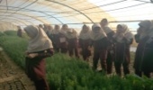 بازدید جمعی از دانش آموزان از نهالستان اداره منابع طبیعی و آبخیزداری شهرستان اردکان