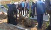 غرس نهال به ياد شهداي والامقام شهرستان بافق در سراي رحمت