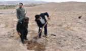 غرس 150اصله نهال بادام کوهی در پارک آبخیز وحدت آباد با همکاری بسیج سازندگی 