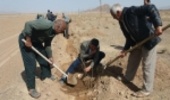 همزمان با ولادت حضرت فاطمه (س)غرس نهال در محور جاده ندوشن-صدرآباد
