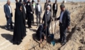 گرامیداشت روز درختکاری با کاشت نهال درمجتمع سرای محبت شهرستان میبد