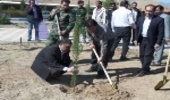 برگزاری جشن درختکاری در شهرستان تفت
