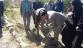 برگزاری مراسم روز ملی درخت¬کاری و آغاز هفته منابع طبیعی و آبخیزداری در شهرستان بهاباد