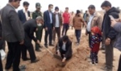 پویش نهالکاری عمومی در روستای ابراهیم آباد اشکذر