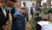 برگزاري پويش ايران سرسبز و كاشت 1000 نهالد به ياد 1000 شهيد دانش آموز استان 