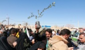 توزیع 1000 اصله نهال زیتون در رایگان در راهپیمایی 22 بهمن ماه در شهرستان مروست توزیع گردید.