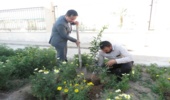 غرس نهال توسط رئيس و دادستان دادگستري شهرستان بافق