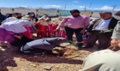 نهال کاری در مدرسه خدیجه کرخنگان از بخش ایثار شهرستان مروست به مناسبت هفته منابع طبیعی