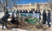  نهال کاری در مدرسه دبیرستان دخترانه انقلاب شهرستان خاتم
