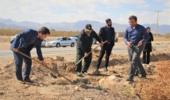 کاشت نهال درحاشیه جاده مجتمع تلاش شهرستان ابرکوه درراستای طرح مردمی کاشت یک میلیارددرخت