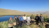 بازدید کارشناسان امور بیابان اداره کل منابع طبیعی و آبخیزداری استان از پروژه هرس بهداشتی جنگل گز شهرستان اردکان
