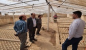 بازدید معاون و کارشناسان اداره کل از نهالستان شهرداری بهاباد