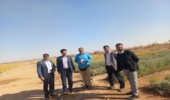 بازدید معاون محترم مدیر کل دفتر بیابان سازمان و مسئول نهالستان های بیابانی کشور از نهالستان و ایستگاه پایش فرسایش بادی شهرستان میبد