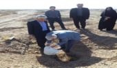 بازدید رئیس سازمان تحقیقات آموزش و ترویج کشاورزی کشور از محل اجرای طرح مردمی کاشت یک میلیارد درخت در شهرستان اشکذر