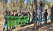 کاشت نهال درپارک جنگلی اسفندآباد همزمان با دهه فجردر شهرستان ابرکوه