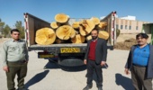 کشف و ضبط محموله چوب فاقد مجوز در شهرستان مهریز