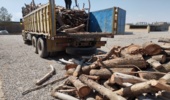 کشف و ضبط محموله چوب غیرمجاز در شهرستان مهریز