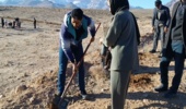حمید بهزادپور ملی پوش مهریزی تیم ملی فوتبال ساحلی ایران با حضور در مراتع شهرستان مهریز اقدام به غرس نهال نمود