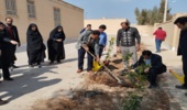 کاشت نهال در مرکز جامع سلامت حضرت حسین ابن علی شهرستان مهریز