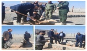کاشت نهال در محل اردوگاه قدس شهرستان میبد