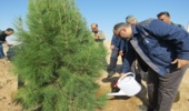 غرس 50 اصله نهال سرو، کاج و توری و امضای عهدنامه با طبیعت در محل سایت پروژه آهن اسفنجی شرکت سنگ آهن مرکزی ایران بافق این شهرستان