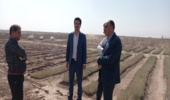 بازدید معاونت محترم فنی  و کارشناس ستادی بیابان اداره کل منابع طبیعی و آبخیزداری استان یزد از پروژه تولید نهال شهرستان میبد