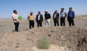 بازدید دکتر علیزاده رییس موسسه تحقیقات جنگلها و مراتع کشور از طرح مردمی کاشت یک میلیارد درخت شهرستان بهاباد