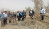 بازدید تیم تخصصی اداره کل منابع طبیعی از جنگل‌های دست‌کاشت شهرستان اشکذر