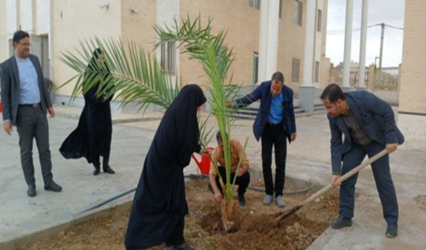  غرس  درخت خرما و نهال زیتون و امضای عهدنامه با طبیعت در محل محوطه دادگستری شهرستان بافق