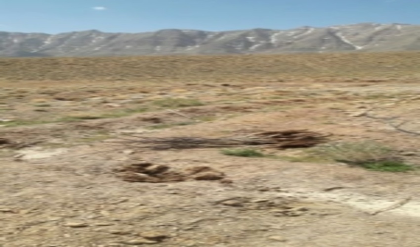 رفع تصرف از اراضي ملي واقع در بهچين علي آباد ازتوابع شهرستان تفت