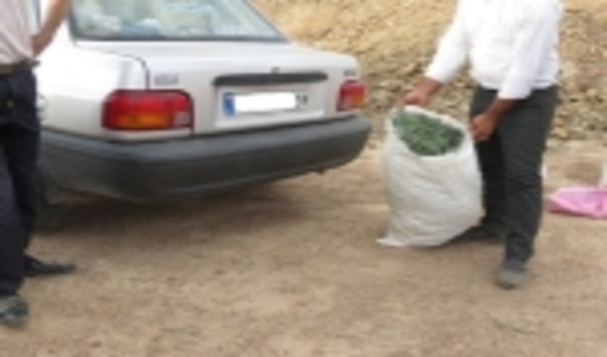 کشف و برخورد با بهره بردان غیرمجاز از مراتع شهرستان یزد