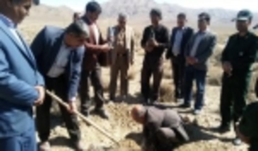 بازدیدازنهالکاری منطقه چنارنازشهرستان خاتم