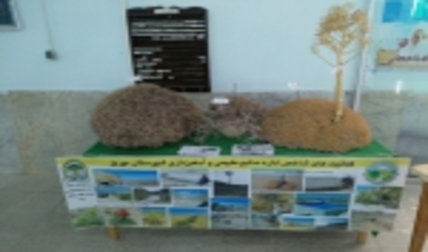 راه اندازی غرفه اداره منابع طبیعی و آبخیزداری شهرستان مهریز در نمایشگاه سال نو