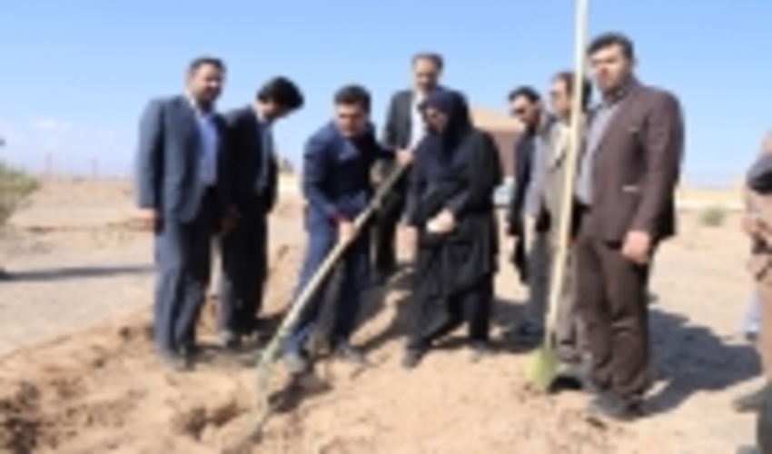 دانشجویان و دانشگاهیان شهرستان اردکان به مناسبت هفتمین روز از هفته منابع طبیعی 600 اصله نهال کاشتند