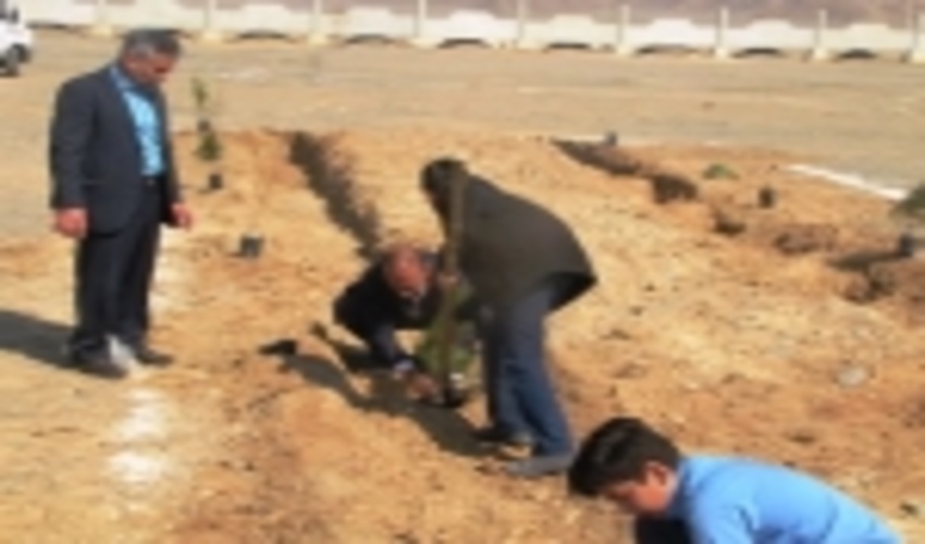 کاشت نهال دراردوگاه دانش آموزی درآخرین روزازهفته منابع طبیعی شهرستان ابرکوه
